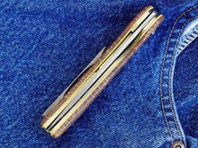 Load image into Gallery viewer, Animas Flipper (made to order)