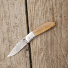 Load image into Gallery viewer, Yampa Liner Lock #004 (ready to ship)