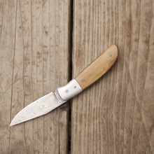 Load image into Gallery viewer, Yampa Liner Lock #004 (ready to ship)