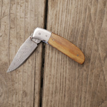 Load image into Gallery viewer, Yampa Liner Lock #004 (ready to ship)